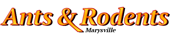 Marysville Ant Exterminator & Rodent Control Company Logo